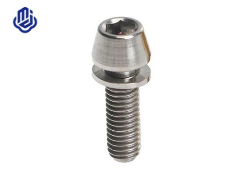 M2 Titanium Screws