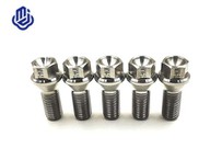 Titanium Wheel Bolts