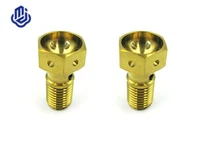 Caliper Oil Tubing Titanium Bolt