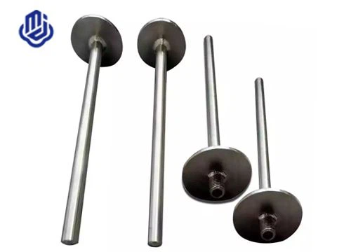 Tantalum Protection Tube