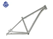 Titanium MTB Frame